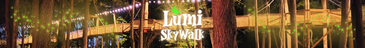 Guests walk the illuminated Treetop Canopy Walk at Lumi SkyWalk in Virginia Beach